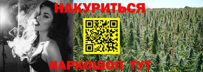 бошки Майкоп