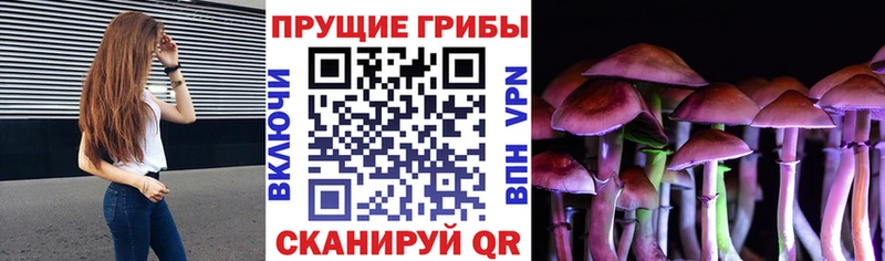kraken зеркало  это наркотические препараты  Галлюциногенные грибы мухоморы  Узловая 