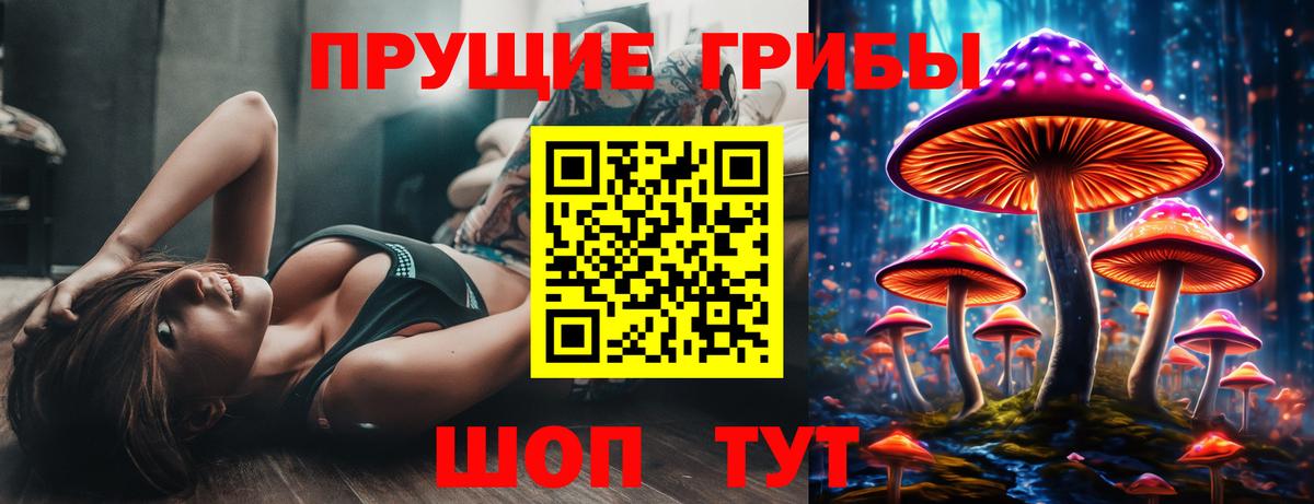 Псилоцибиновые грибы прущие грибы Узловая